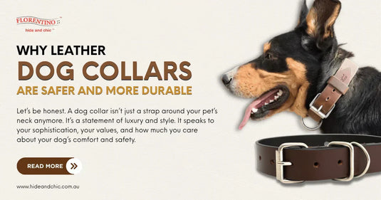 Leather Dog Collars