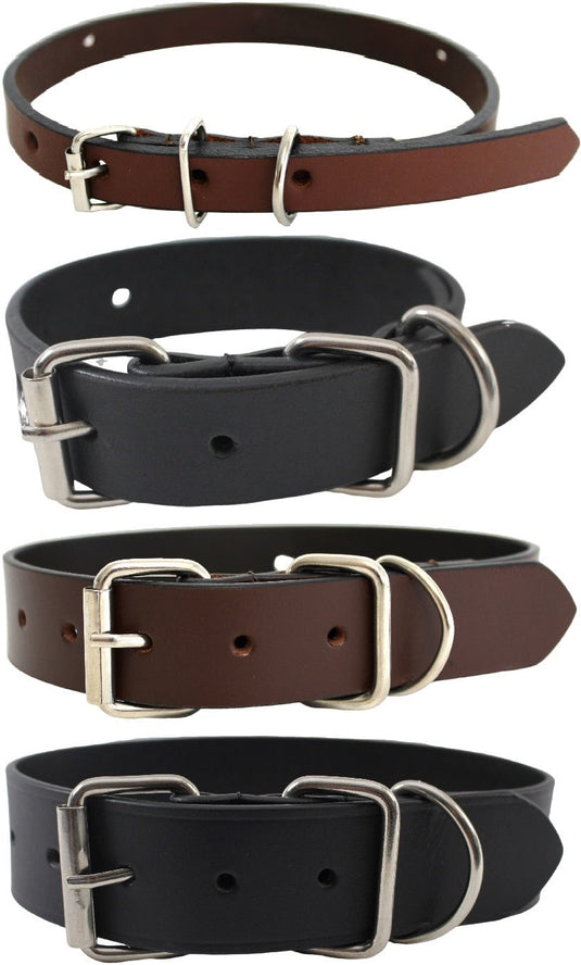 Dog Collars